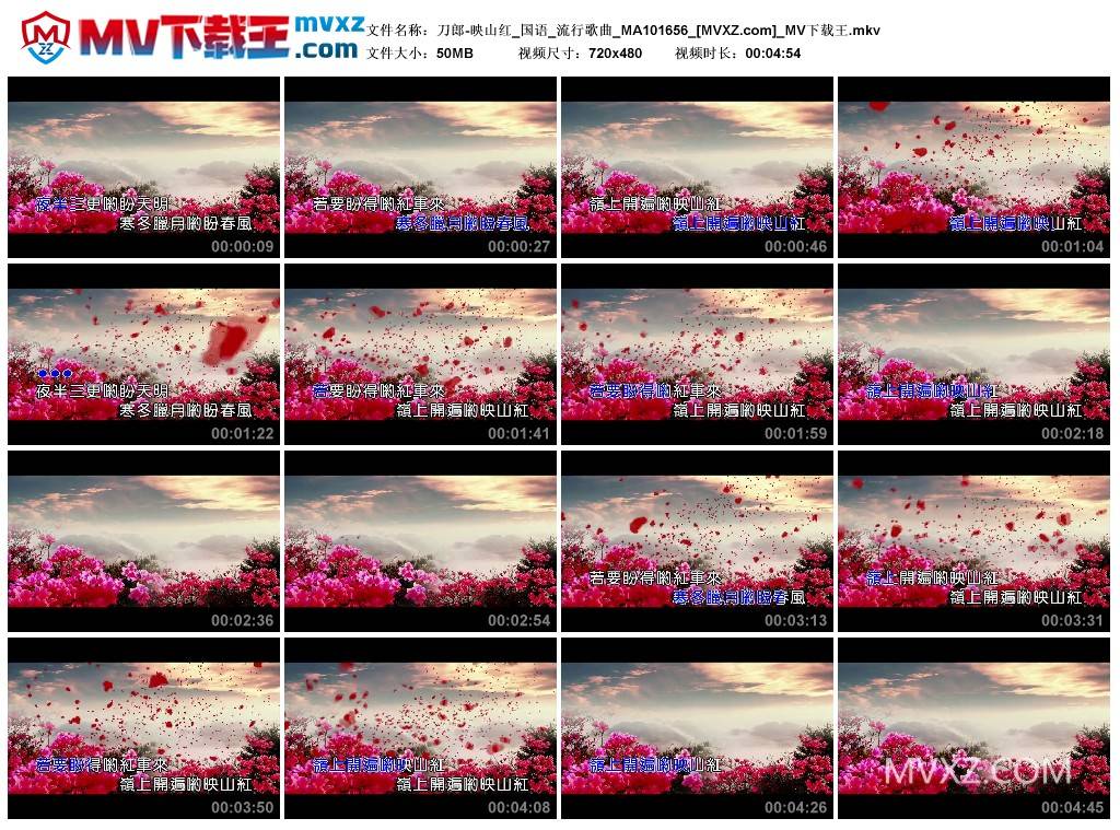 刀郎-映山红_国语_流行歌曲_MA101656
